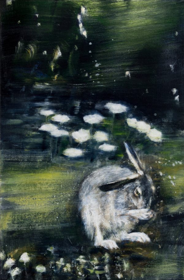 Hare 4