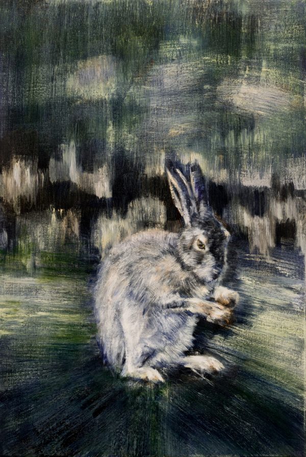 Hare 9